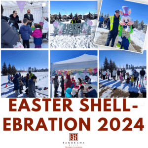 Easter Shell-ebration 2024 collage