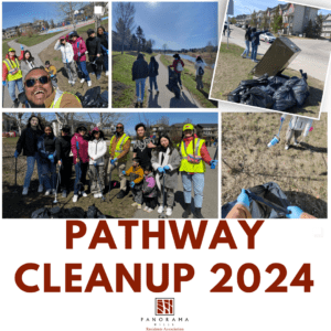 Pathway and River Cleanup 2024 collage